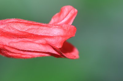 Bouche de la nature_4316949230_l.jpg